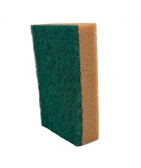 PROF GV36_10-piece set of sponges for cleaning work areas