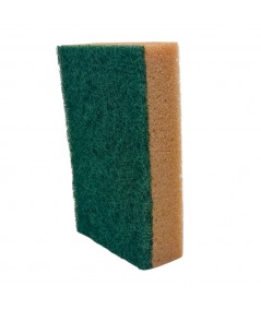 PROF GV36_10-piece set of sponges for cleaning work areas