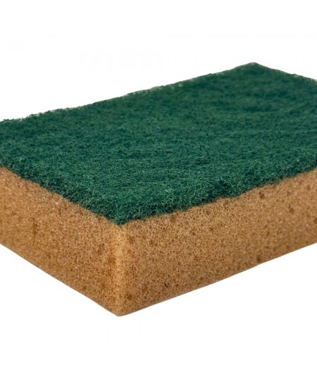 PROF GV36_10-piece set of sponges for cleaning work areas