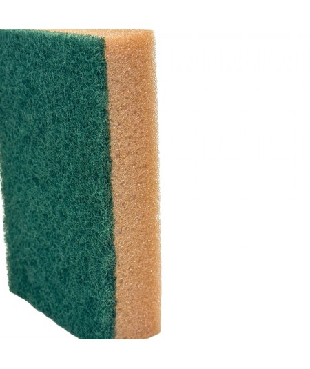 PROF GV36_10-piece set of sponges for cleaning work areas