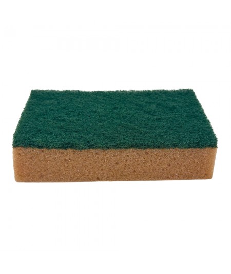 PROF GV36_10-piece set of sponges for cleaning work areas