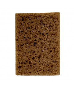 CAR SPONGE + FLY REPELLENT  - Hobby range FOR A SHINY CAR BODY
