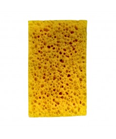 GERMAN CAR SPONGE FOR A SHINY CAR BODY