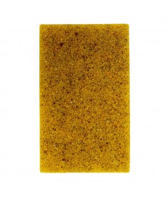 GERMAN CAR SPONGE + FLY REPELLENT FOR A SPARKLING CAR BODY