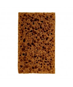 GERMAN CAR SPONGE + FLY REPELLENT FOR A SPARKLING CAR BODY