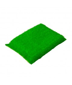 COLOURED TITTELLA SPONGE