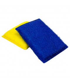 COLOURED TITTELLA SPONGE