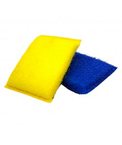 COLOURED TITTELLA SPONGE
