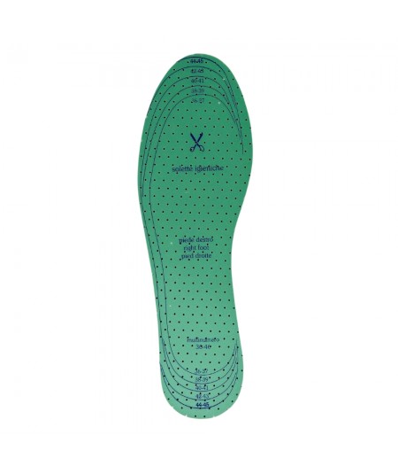 TOP-QUALITY, UNIVERSAL, ODOUR-CONTROL AND BREATHABLE CHLOROPHYLL INSOLES